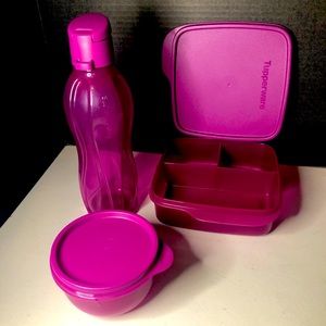 Tupperware Lunch Set